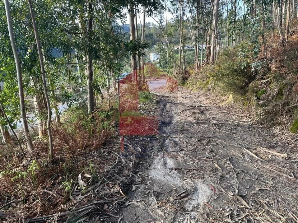 Terreno para Venda em Oriz (Santa Marinha) e Oriz (São Miguel) Foto 30
