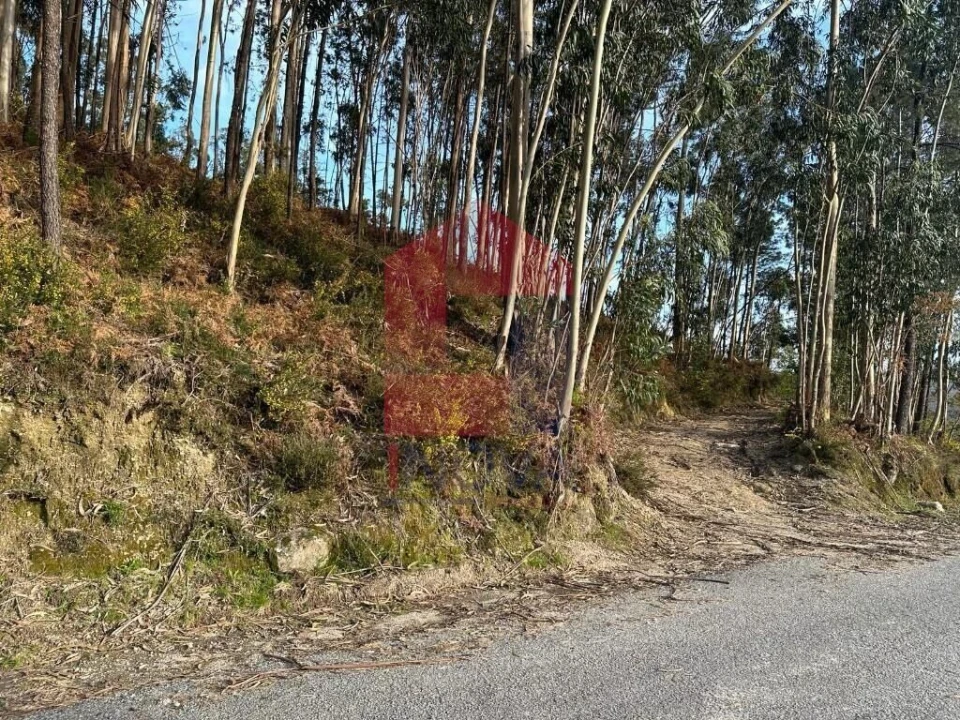 Terreno para Venda em Oriz (Santa Marinha) e Oriz (São Miguel) Foto 1