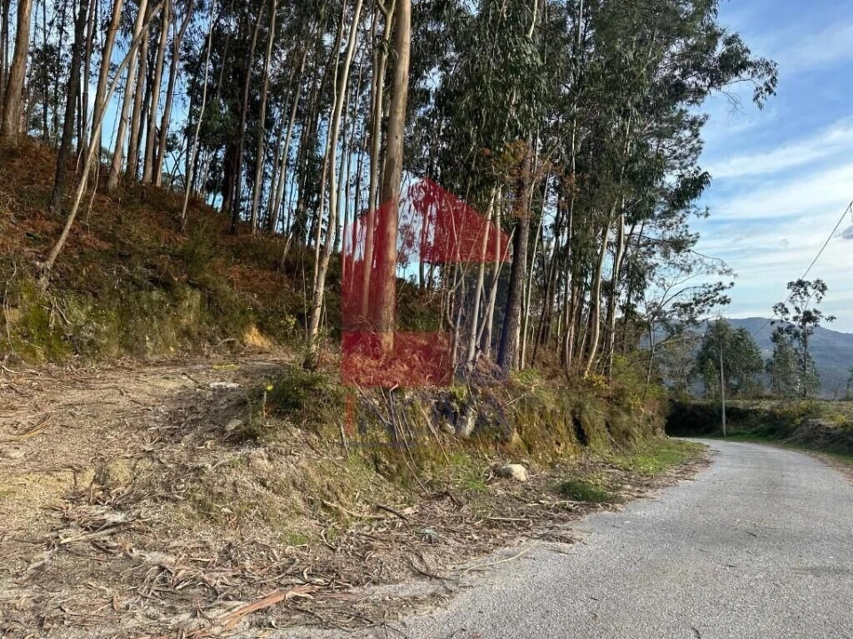 Terreno para Venda em Oriz (Santa Marinha) e Oriz (São Miguel) Foto 39