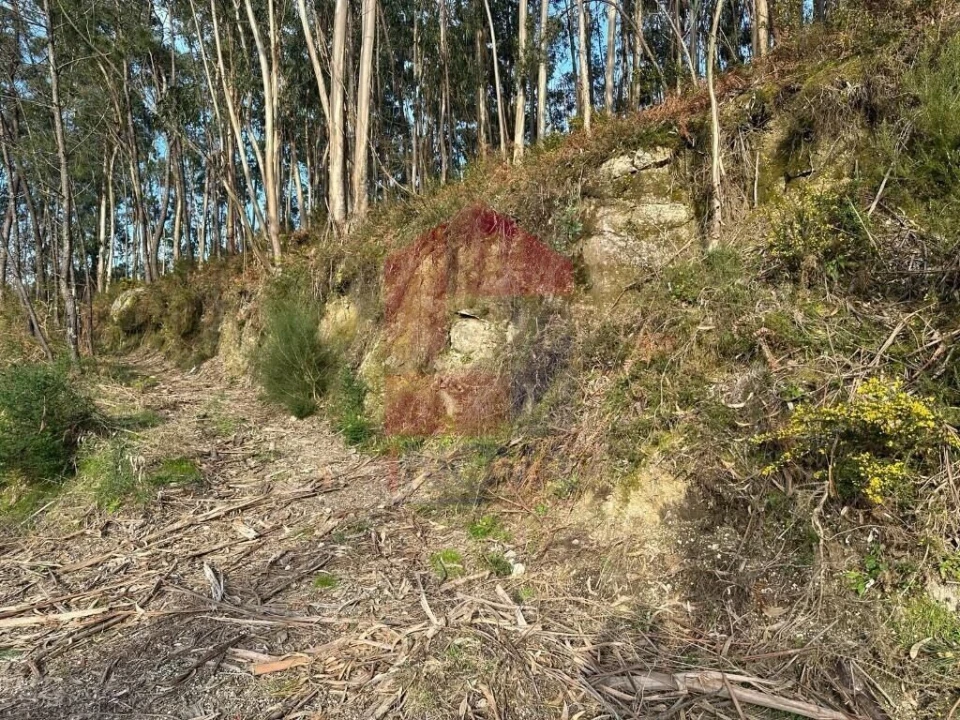 Terreno para Venda em Oriz (Santa Marinha) e Oriz (São Miguel) Foto 3