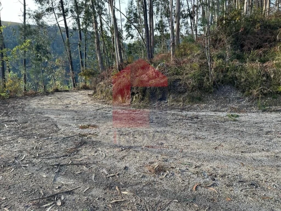 Terreno para Venda em Oriz (Santa Marinha) e Oriz (São Miguel) Foto 21