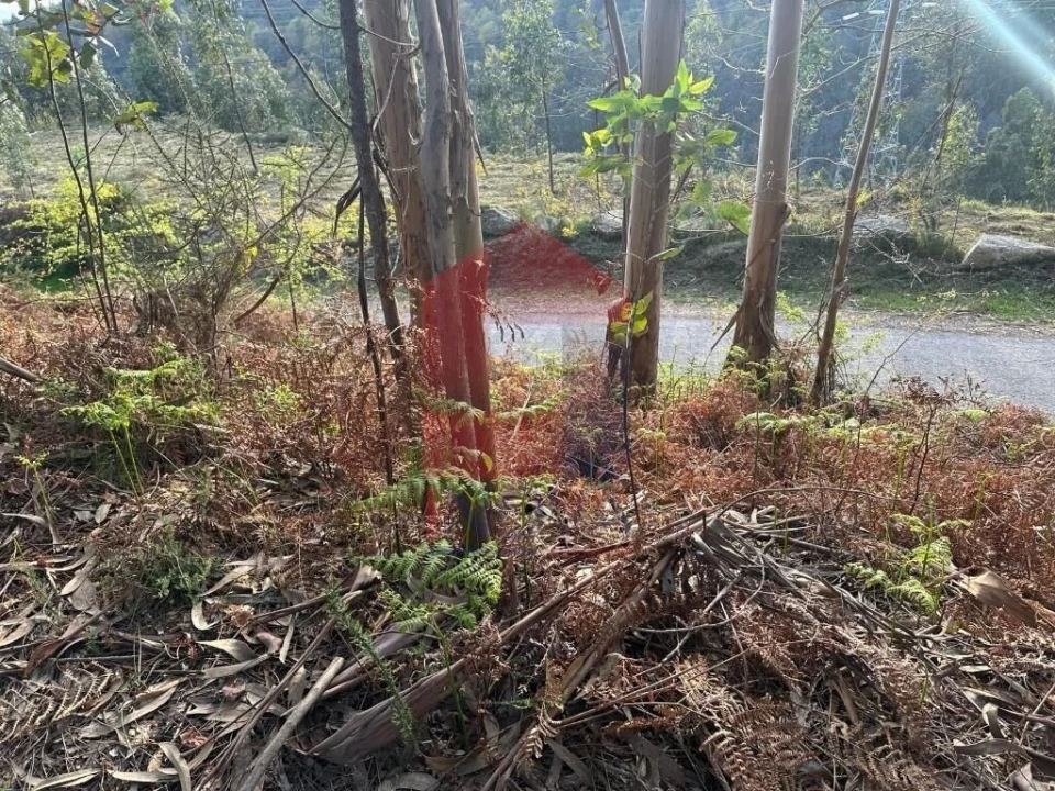 Terreno para Venda em Oriz (Santa Marinha) e Oriz (São Miguel) Foto 31