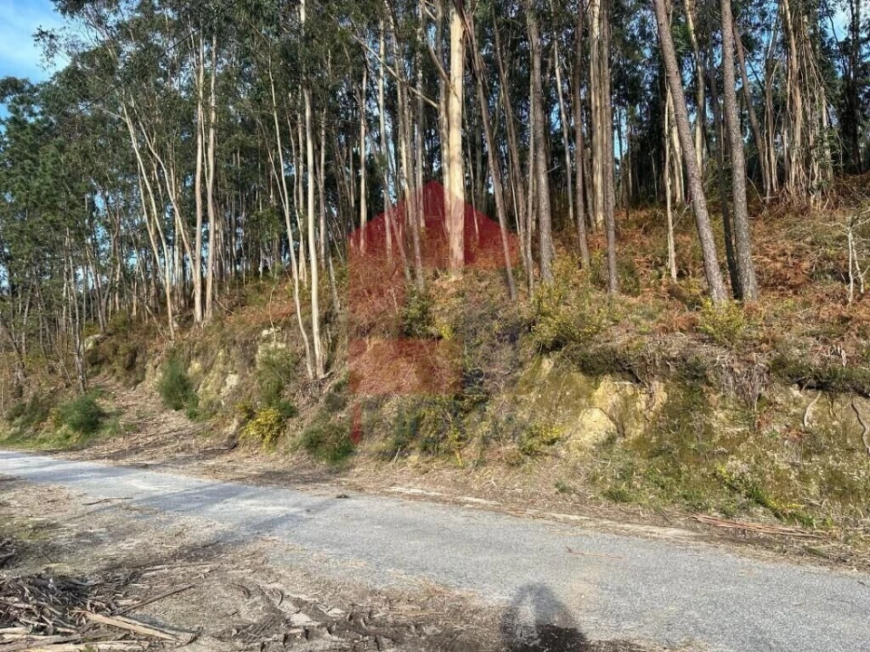 Terreno para Venda em Oriz (Santa Marinha) e Oriz (São Miguel) Foto 2