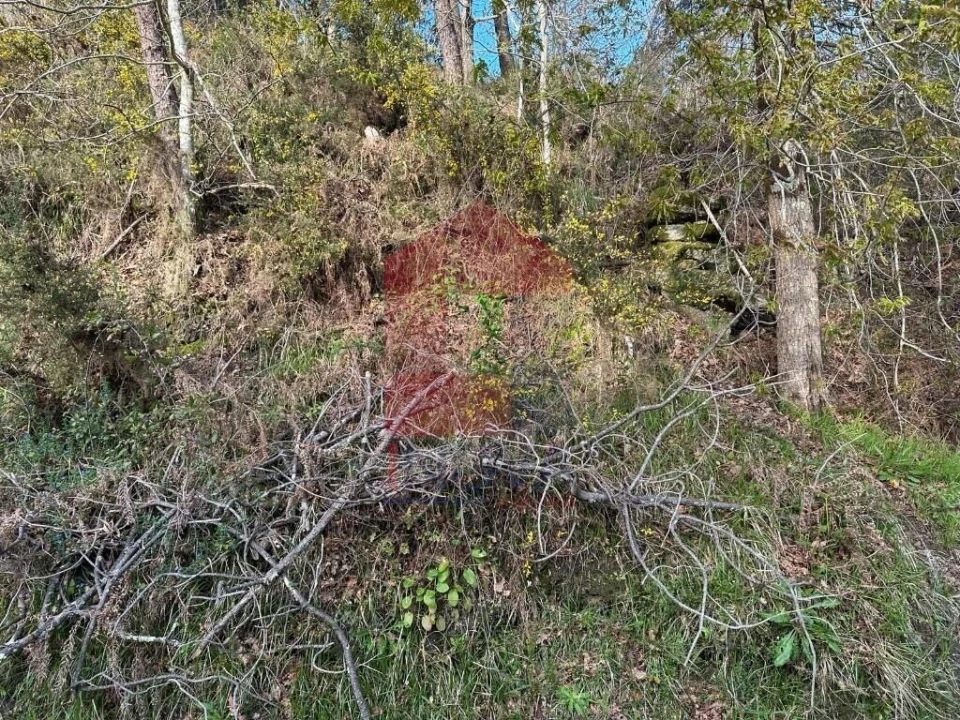 Terreno para Venda em Oriz (Santa Marinha) e Oriz (São Miguel) Foto 19