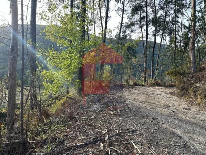 Terreno para Venda em Oriz (Santa Marinha) e Oriz (São Miguel) Foto 23