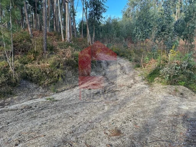 Terreno para Venda em Oriz (Santa Marinha) e Oriz (São Miguel) Foto 20