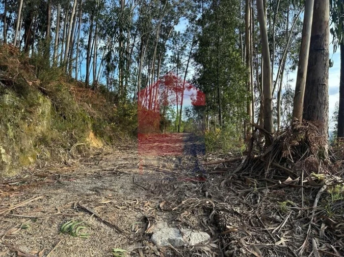 Terreno para Venda em Oriz (Santa Marinha) e Oriz (São Miguel) Foto 22