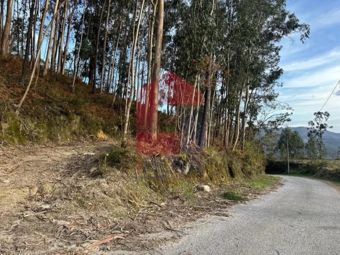 Terreno para Venda em Oriz (Santa Marinha) e Oriz (São Miguel) Foto 39
