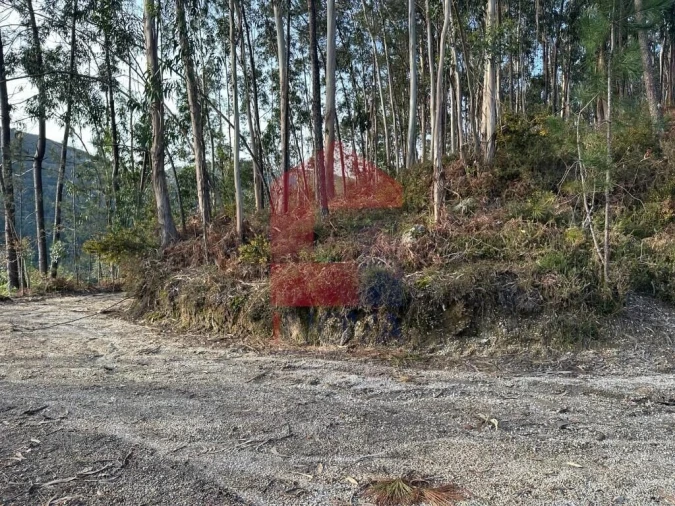 Terreno para Venda em Oriz (Santa Marinha) e Oriz (São Miguel) Foto 27