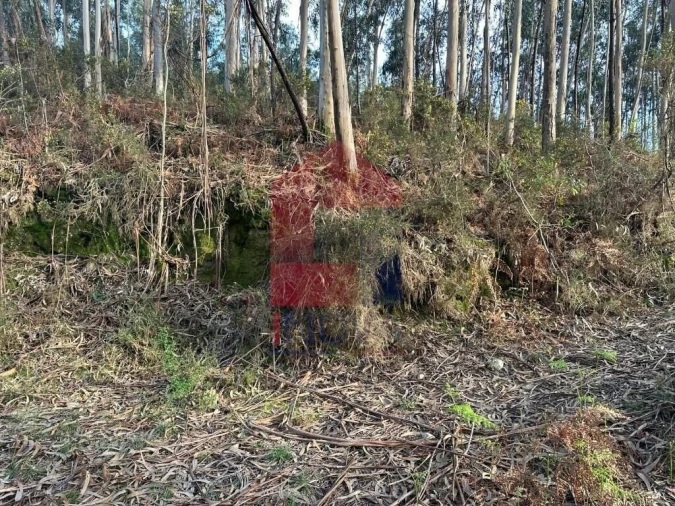 Terreno para Venda em Oriz (Santa Marinha) e Oriz (São Miguel) Foto 11