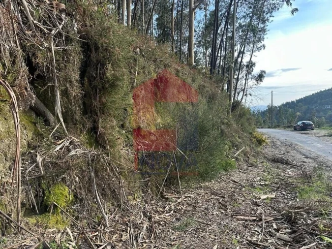 Terreno para Venda em Oriz (Santa Marinha) e Oriz (São Miguel) Foto 37
