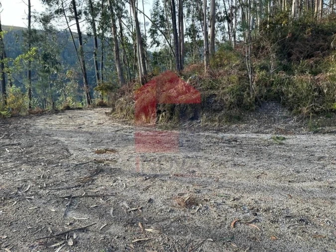 Terreno para Venda em Oriz (Santa Marinha) e Oriz (São Miguel) Foto 21