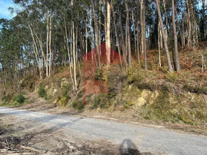 Terreno para Venda em Oriz (Santa Marinha) e Oriz (São Miguel) Foto 2