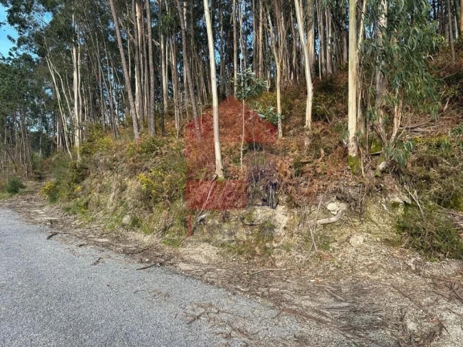 Terreno para Venda em Oriz (Santa Marinha) e Oriz (São Miguel) Foto 35