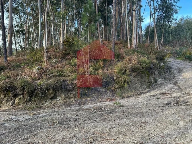 Terreno para Venda em Oriz (Santa Marinha) e Oriz (São Miguel) Foto 28
