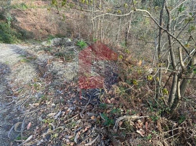 Terreno para Venda em Oriz (Santa Marinha) e Oriz (São Miguel) Foto 29