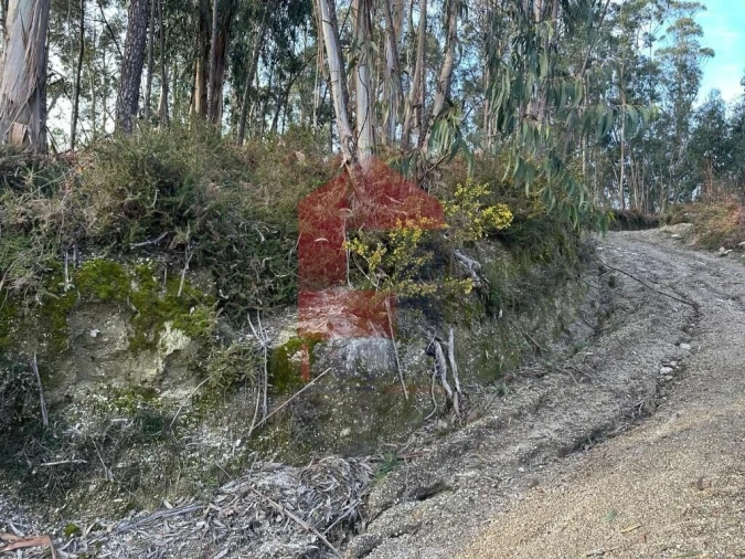 Terreno para Venda em Oriz (Santa Marinha) e Oriz (São Miguel) Foto 25