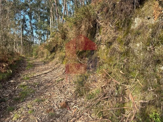 Terreno para Venda em Oriz (Santa Marinha) e Oriz (São Miguel) Foto 5