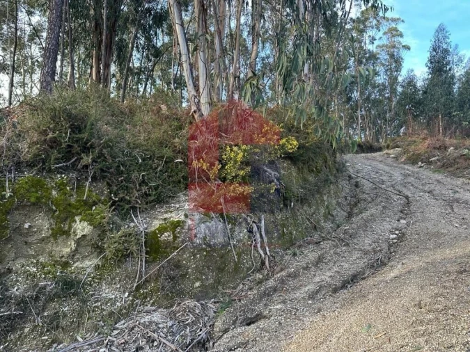 Terreno para Venda em Oriz (Santa Marinha) e Oriz (São Miguel) Foto 26