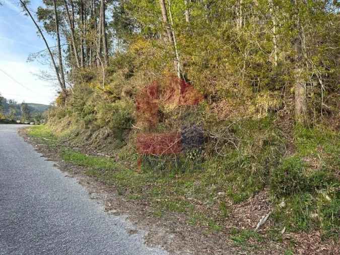 Terreno para Venda em Oriz (Santa Marinha) e Oriz (São Miguel) Foto 33