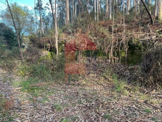 Terreno para Venda em Oriz (Santa Marinha) e Oriz (São Miguel) Foto 12