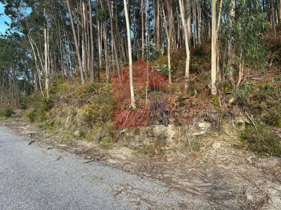 Terreno para Venda em Oriz (Santa Marinha) e Oriz (São Miguel) Foto 35