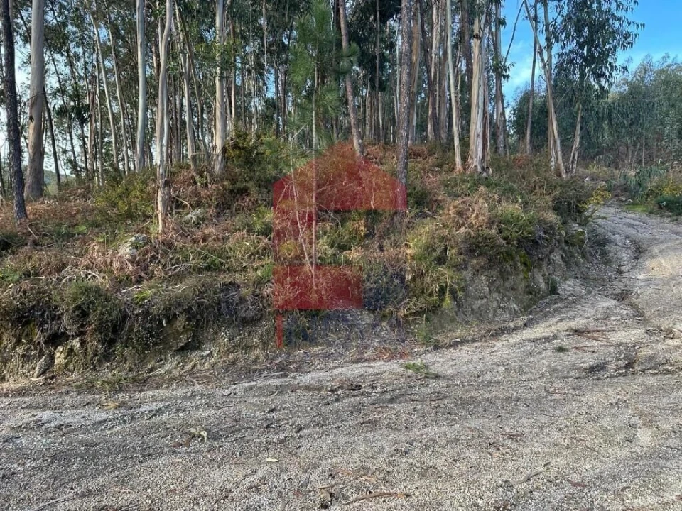 Terreno para Venda em Oriz (Santa Marinha) e Oriz (São Miguel) Foto 28