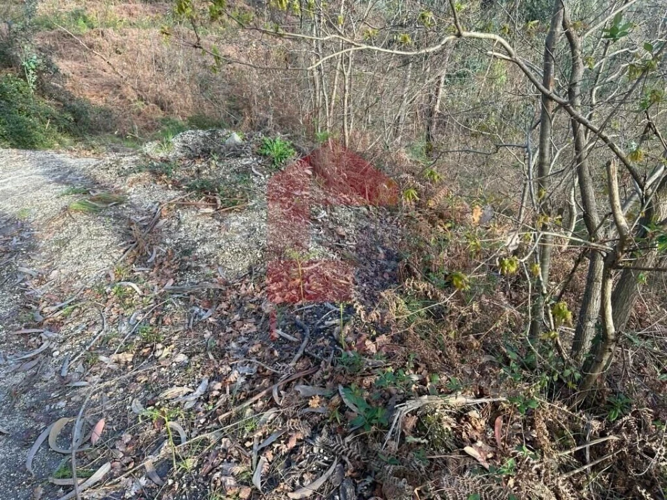 Terreno para Venda em Oriz (Santa Marinha) e Oriz (São Miguel) Foto 29