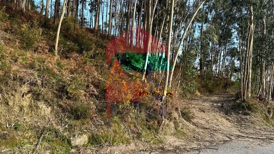 Terreno para Venda em Oriz (Santa Marinha) e Oriz (São Miguel)