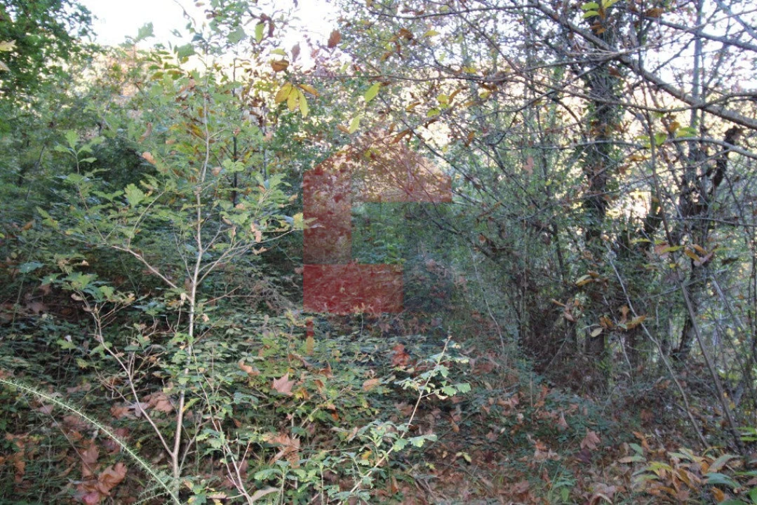 Terreno para Venda em Oriz (Santa Marinha) e Oriz (São Miguel) Foto 5