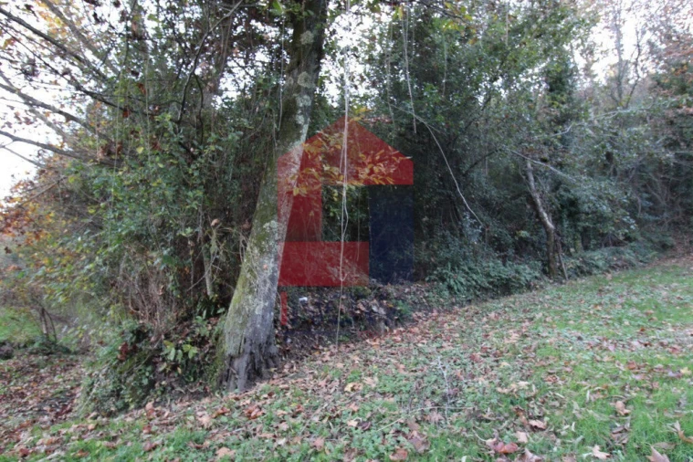 Terreno para Venda em Oriz (Santa Marinha) e Oriz (São Miguel) Foto 2