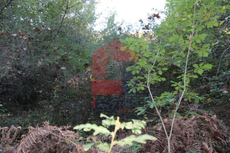 Terreno para Venda em Oriz (Santa Marinha) e Oriz (São Miguel) Foto 6