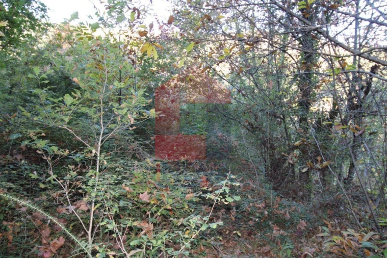 Terreno para Venda em Oriz (Santa Marinha) e Oriz (São Miguel) Foto 5