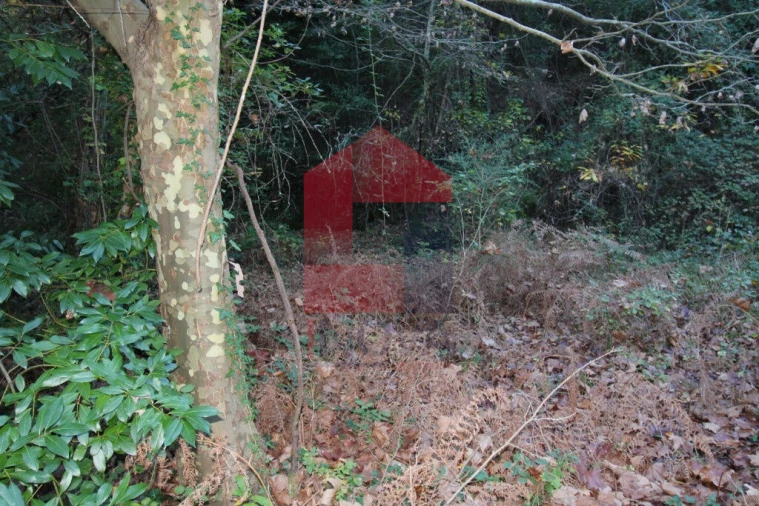 Terreno para Venda em Oriz (Santa Marinha) e Oriz (São Miguel) Foto 7