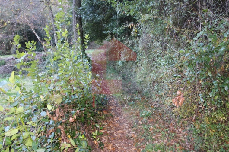 Terreno para Venda em Oriz (Santa Marinha) e Oriz (São Miguel) Foto 10