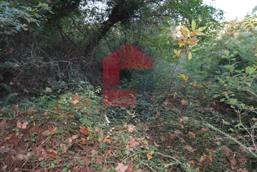 Terreno para Venda em Oriz (Santa Marinha) e Oriz (São Miguel) Foto 4