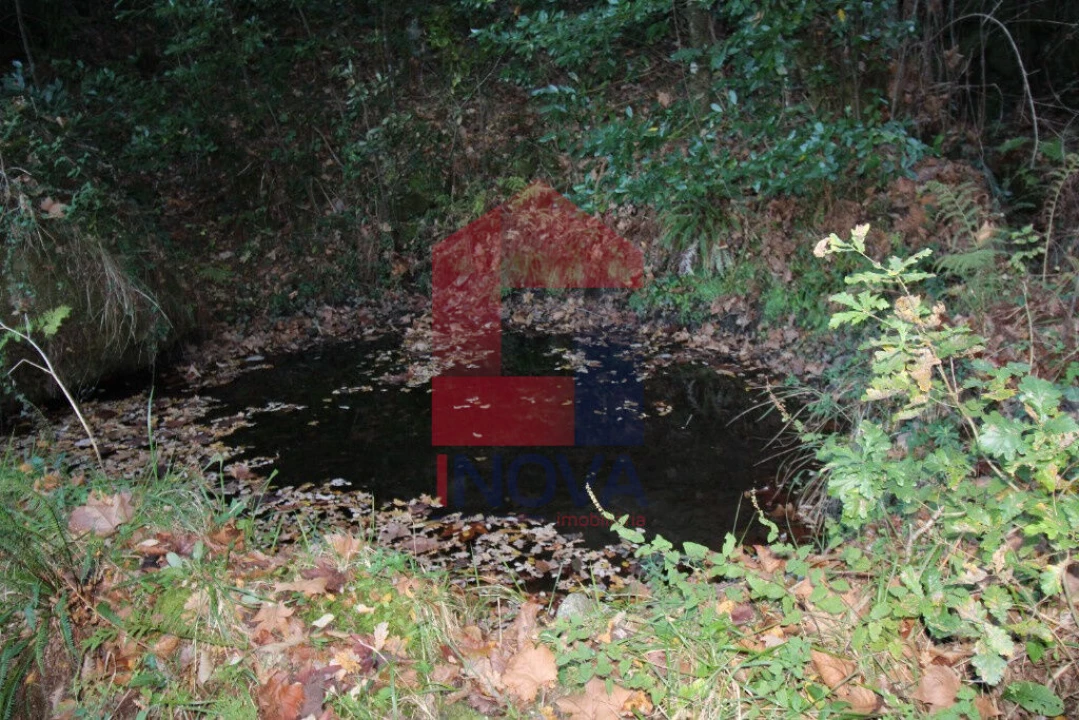 Terreno para Venda em Oriz (Santa Marinha) e Oriz (São Miguel) Foto 3