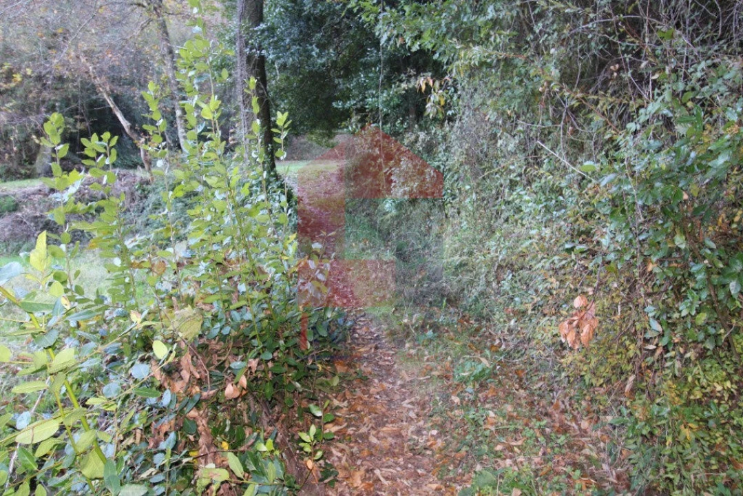 Terreno para Venda em Oriz (Santa Marinha) e Oriz (São Miguel) Foto 10