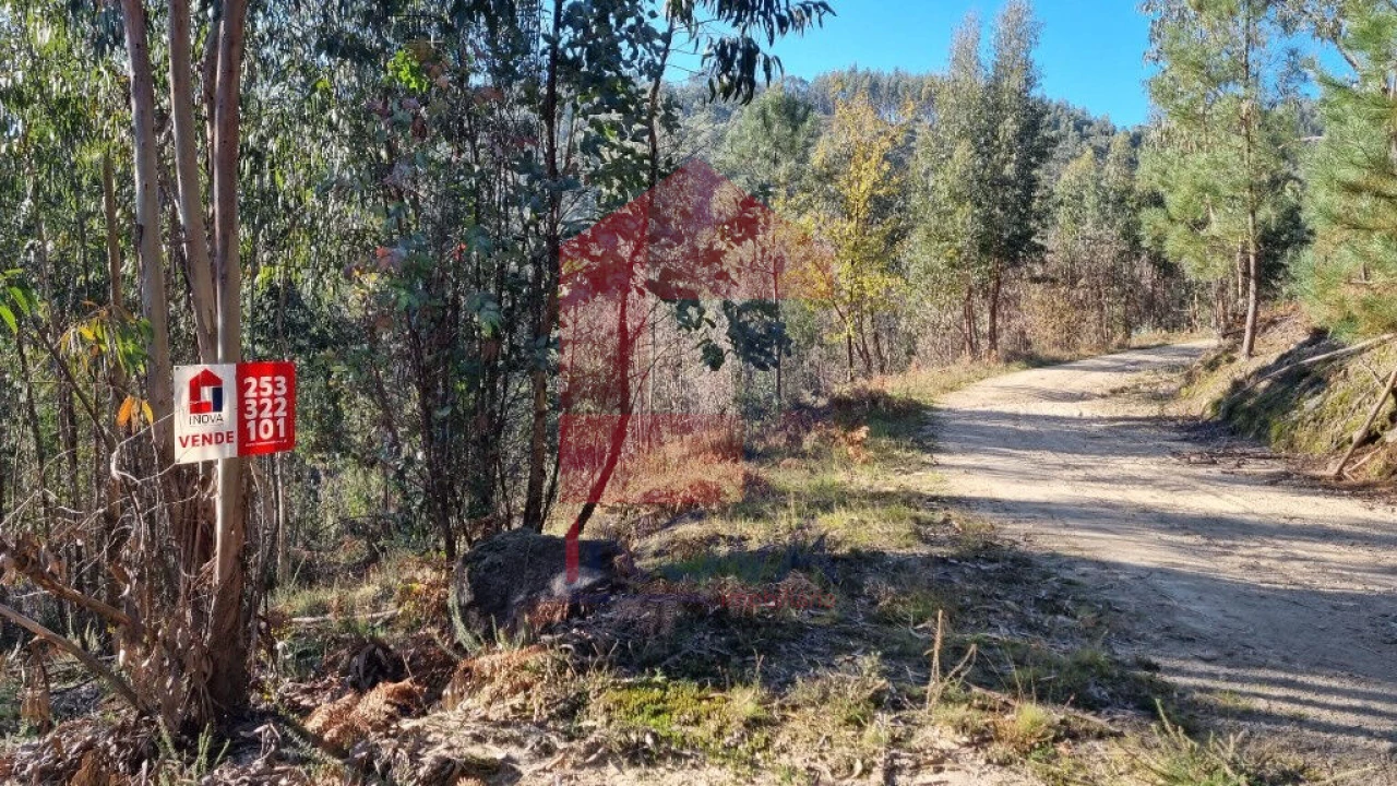 Terreno para Venda em Pico de Regalados, Gondiães e Mós Foto 1