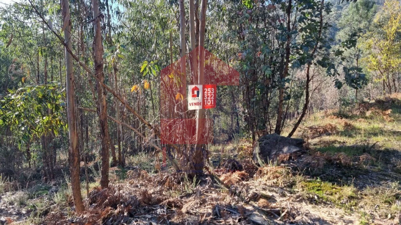 Terreno para Venda em Pico de Regalados, Gondiães e Mós Foto 7