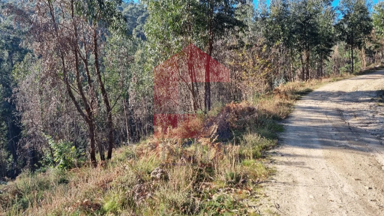 Terreno para Venda em Pico de Regalados, Gondiães e Mós Foto 5