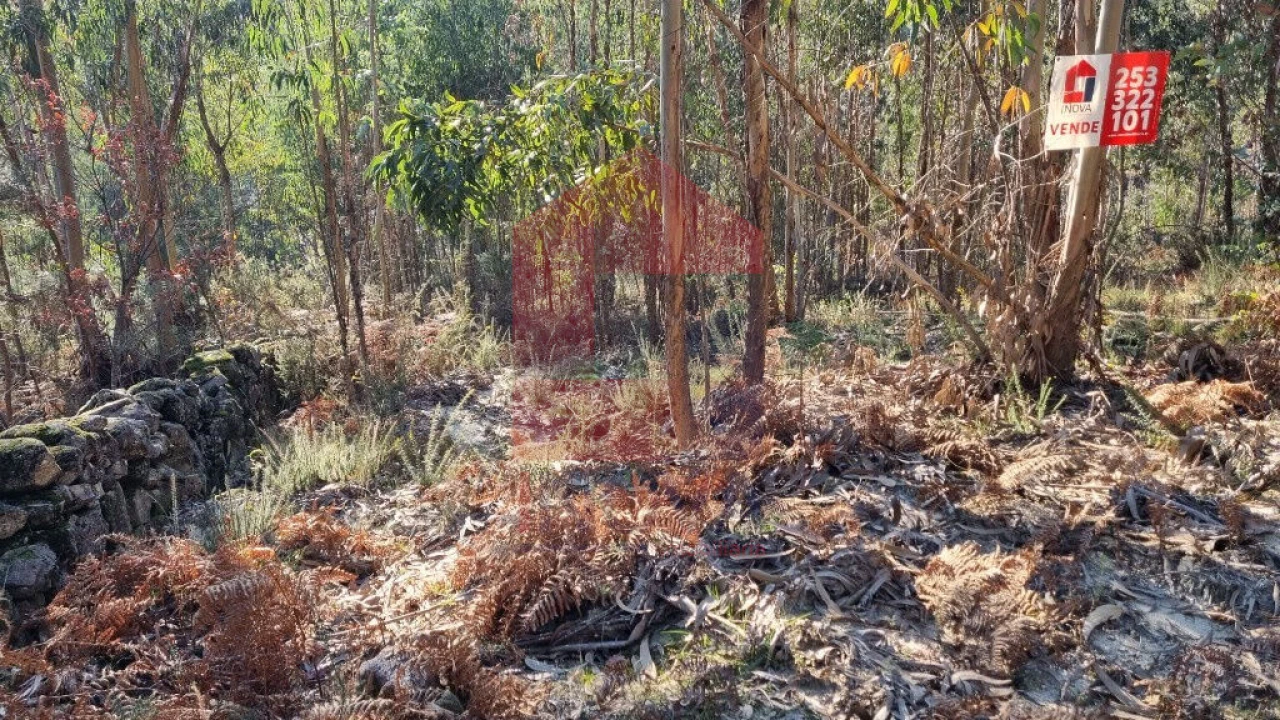 Terreno para Venda em Pico de Regalados, Gondiães e Mós Foto 10
