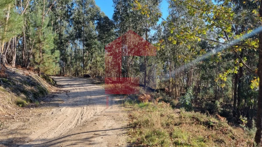 Terreno para Venda em Pico de Regalados, Gondiães e Mós Foto 8