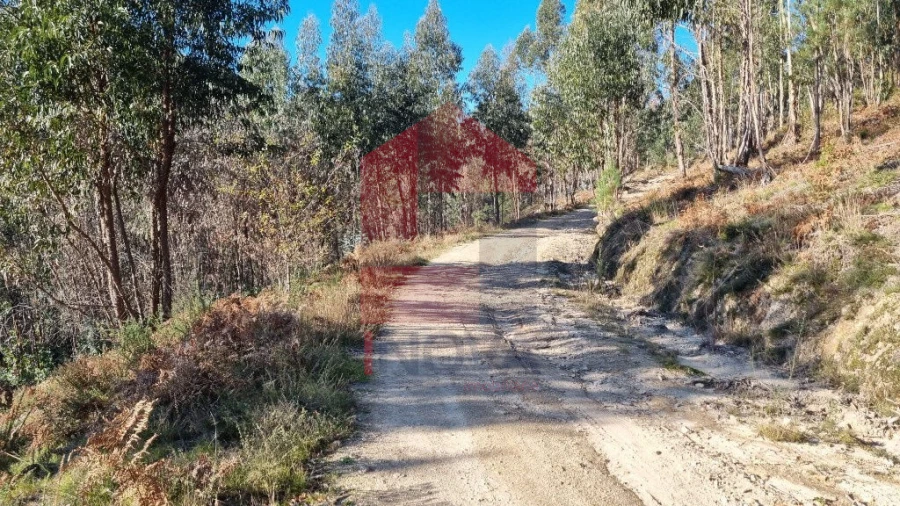 Terreno para Venda em Pico de Regalados, Gondiães e Mós Foto 9