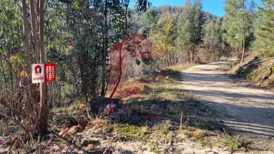 Terreno para Venda em Pico de Regalados, Gondiães e Mós Foto 12