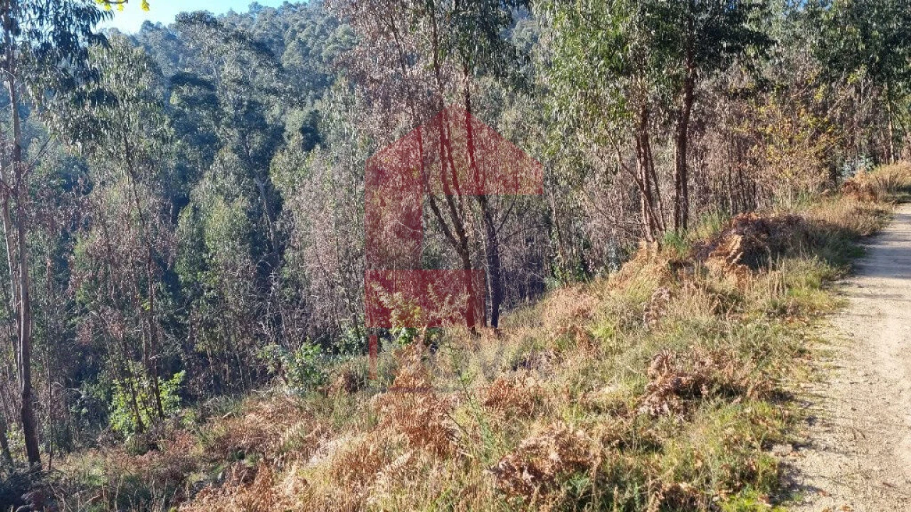 Terreno para Venda em Pico de Regalados, Gondiães e Mós Foto 2