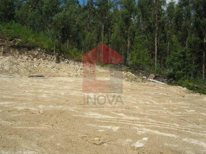 Terreno para Venda em Pico de Regalados, Gondiães e Mós Foto 3