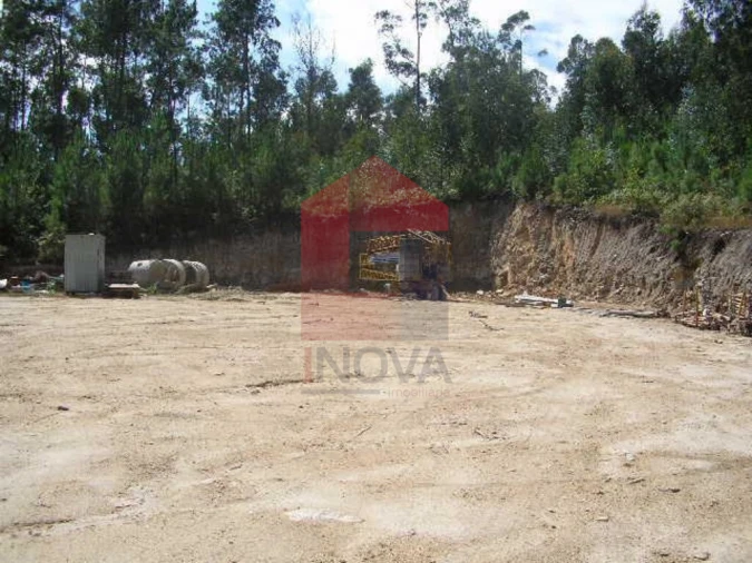 Terreno para Venda em Pico de Regalados, Gondiães e Mós Foto 5