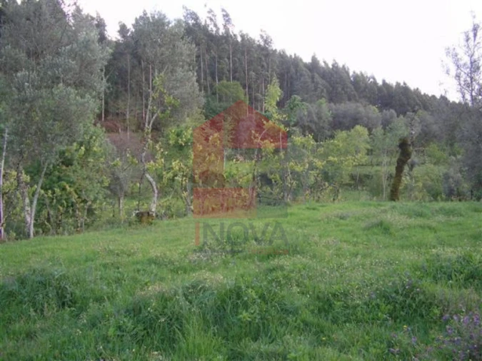 Terreno para Venda em Sande, Vilarinho, Barros e Gomide Foto 5