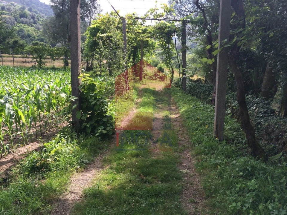 Terreno para Venda em Sande, Vilarinho, Barros e Gomide Foto 10